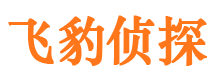 平远市场调查